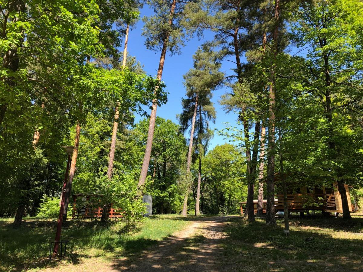 Camping Osenbach 외부 사진